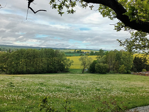 vogtländische Hügellandschaft
