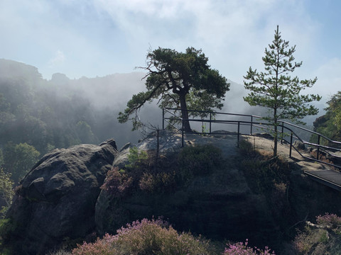 Nationalpark Sächsische Schweiz