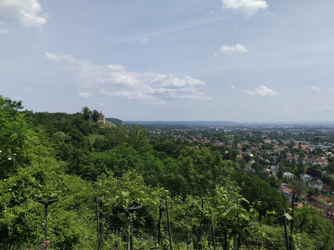 Blick über die Niederlößnitz mit Minckwitzschem Weinberg