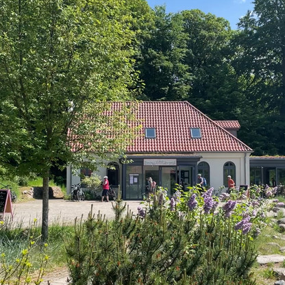 cafelauschi_bungsberg_sommer26.jpeg