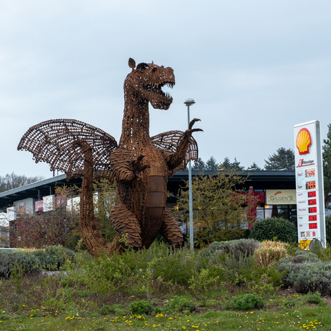 Wachtberger Drache, Wachtberg-Berkum