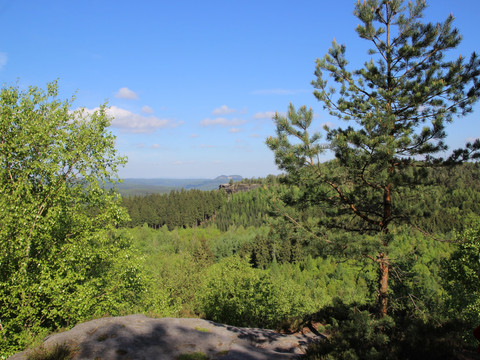 Ausblick