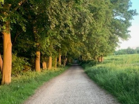 Bild 1.jpg