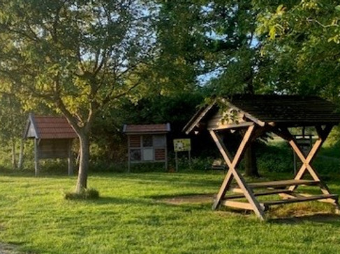 Bild 8.jpg