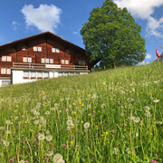 Exterior view of Gasthaus Gsaessweid Blumenwiese, dahinter befindet sich das Gasthaus GsässweidFlower meadow, behind it is the Gsässweid innPrairie fleurie, derrière se trouve l'auberge Gsässweid