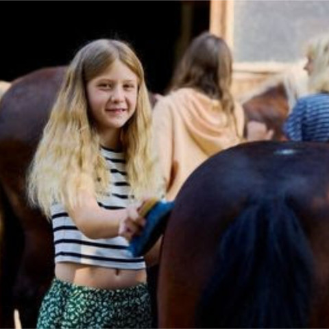 Vogtsmichelhof Alpirsbach Pony Striegeln Vogtsmichelhof Alpirsbach Pony Striegeln