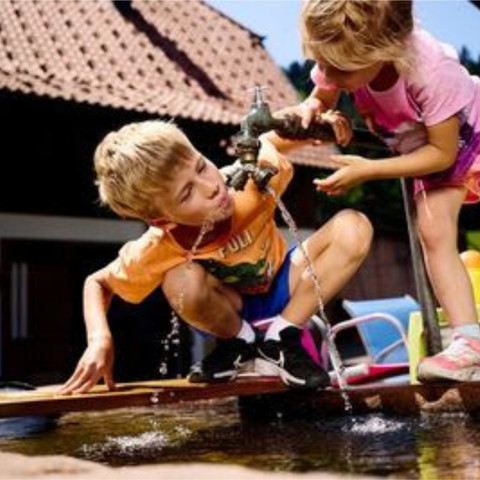 Vogtsmichelhof Alpirsbach Spielende Kinder am Brunnen Vogtsmichelhof Alpirsbach Spielende Kinder am Brunnen