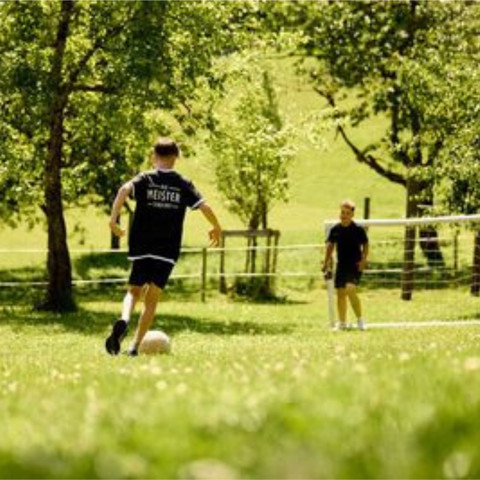 Vogtsmichelhof Alpirsbach Fussball Vogtsmichelhof Alpirsbach Fussball