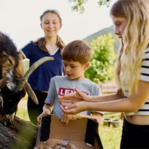 Vogtsmichelhof Alpirsbach Kinder Mit Ziege Vogtsmichelhof Alpirsbach Kinder Mit Ziege