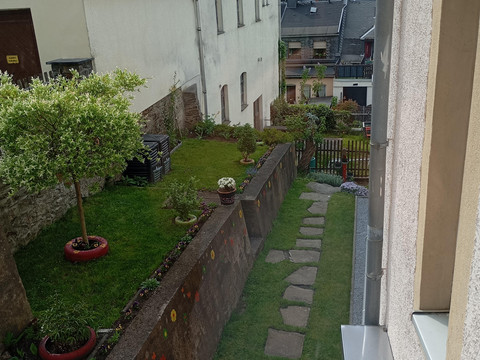 Blick in den Garten
