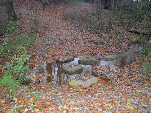 Trittsteinstufen Uelsen-1.jpg
