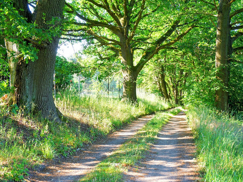 Unterwegs auf der Heide-Biber-Tour bei Tornau