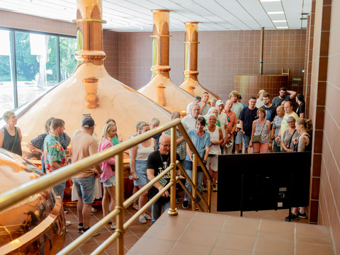 Erzquell Brauerei Sommerfest Gruppe besucht den Sudraum mit großen Kupferkesseln während einer Brauereiführung