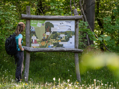 Mit Billy Bockert auf der Heide-Biber-Tour. Mehrere Infotafeln vermitteln Heimatwissen zwischen Bad Düben und Hammerbachhütte.