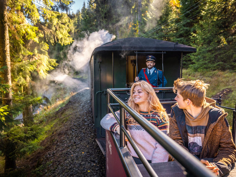 Preßnitztalbahn