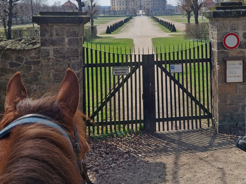 Blick vom Schlossweg zur Rückseite des Schlosses