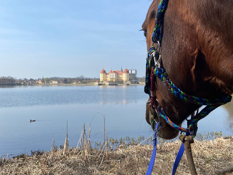 Blick auf Teich und Schloss