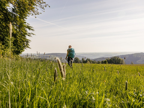 auf dem Kammweg