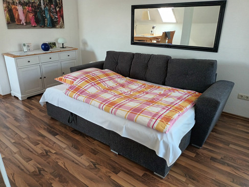 20250811_112825 Schlafsofa oben.jpg