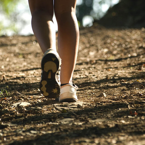 Wandern