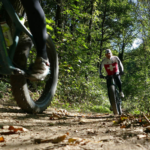 Fahrrad