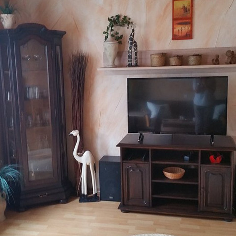 Ferienwohnung Südhang: Fernseher Ferienwohnung Südhang: Fernseher