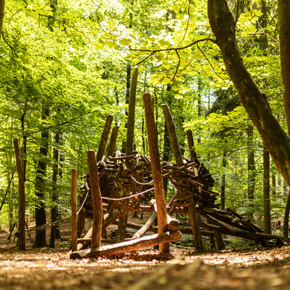 Schönwalde_TZHS_©AnneWeise (21).jpg