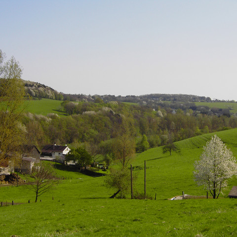 Blick-ins-Hanfbachtal