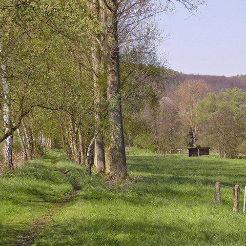 Wanderpfad-Hanfbachtal