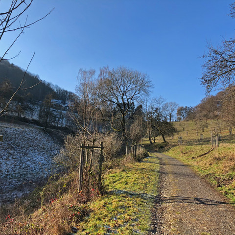 Wiese-Löwenburg