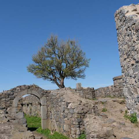 Ruine-Löwenburg
