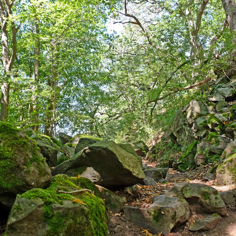 Felsenpfad-Leyberg