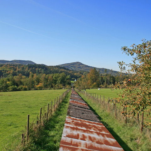 Oelbergblick-Foerderband-Huehnerberg