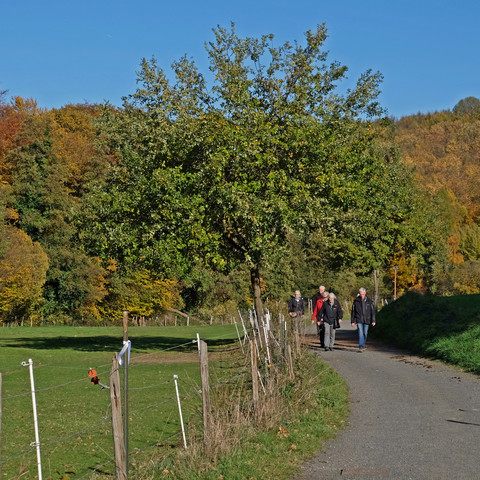 Lauterbachtal