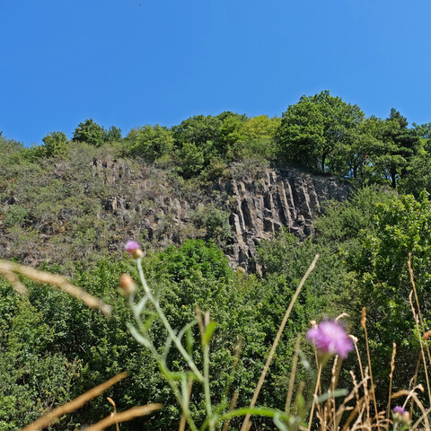 Himmerichplateau