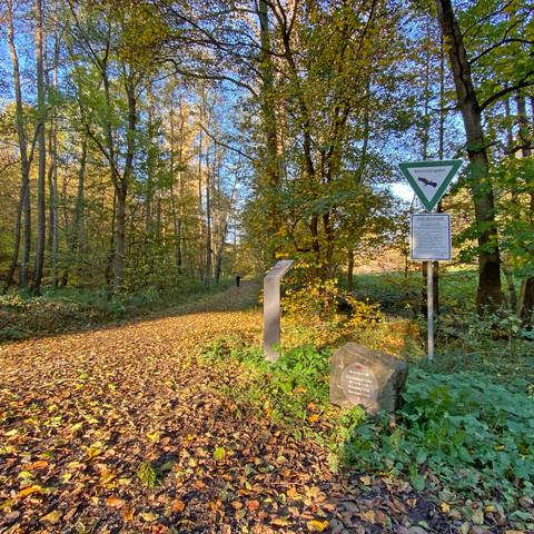 Logebachtal