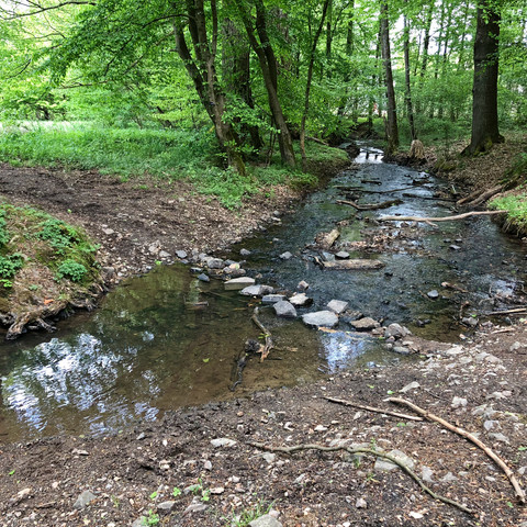 Bachquerung-Hoevel