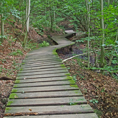 Tretschbachtal-Stege