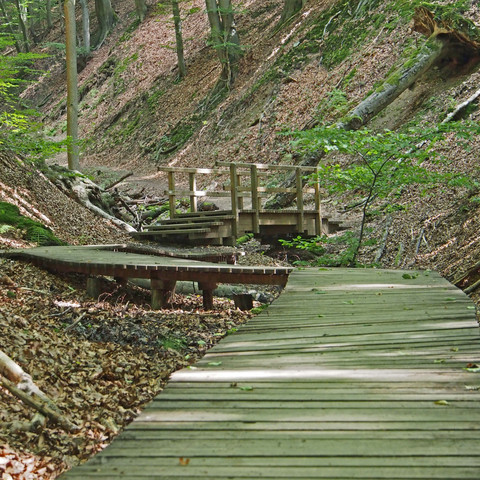 Tretschbachtal-Holzstege