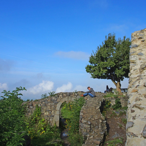 Ruine-Löwenburg
