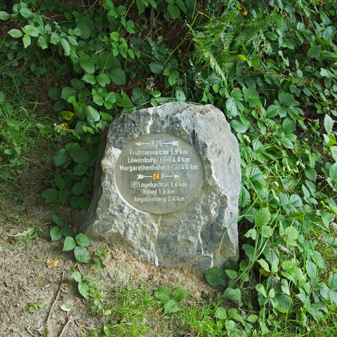 Wegstein-Tour15