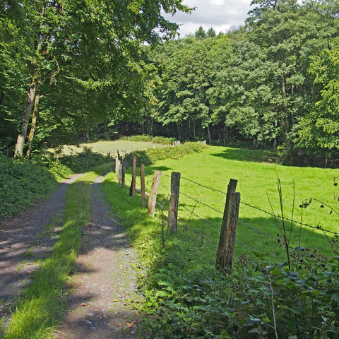 Logebachtal-Beginn