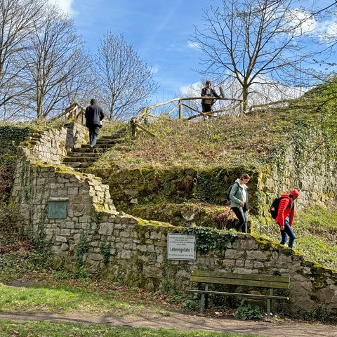 Rosenau