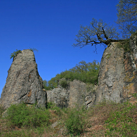 Stenzelberg