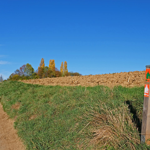kasseler-heide
