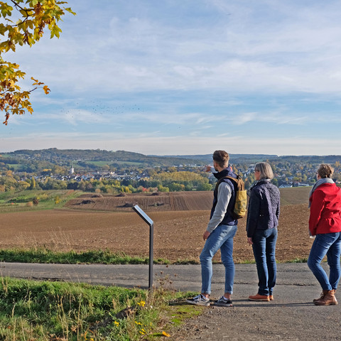 Blick-zum-Huehnerberg