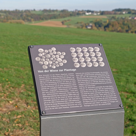 Obstanbau-Infotafel