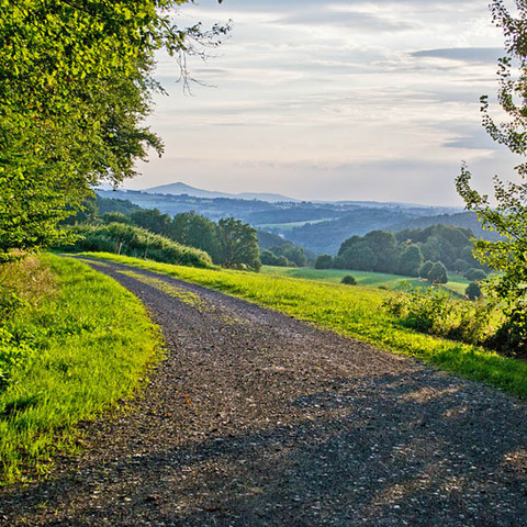 Försterweg Pfad