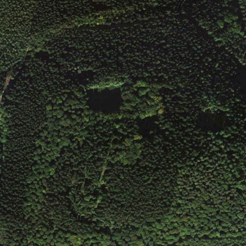 Försterweg