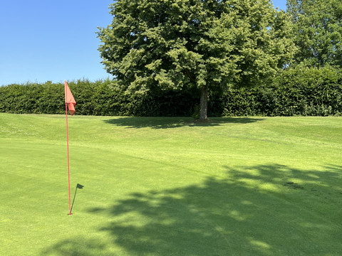 Golf-Club Kürten Golfgrün mit roter Fahne, großem Baum und Hecke unter blauem Himmel
